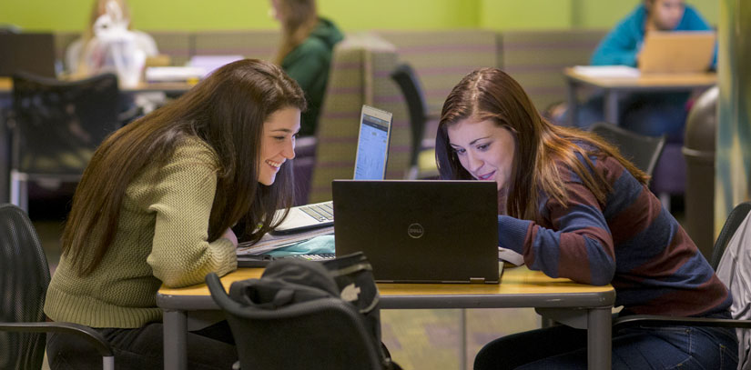 USF Libraries Services for Undergraduate Students